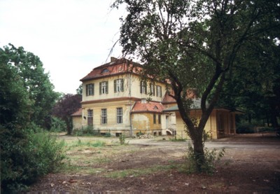 palmenhaus2